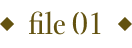 file01