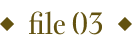 file03