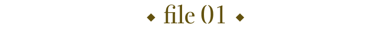 file01